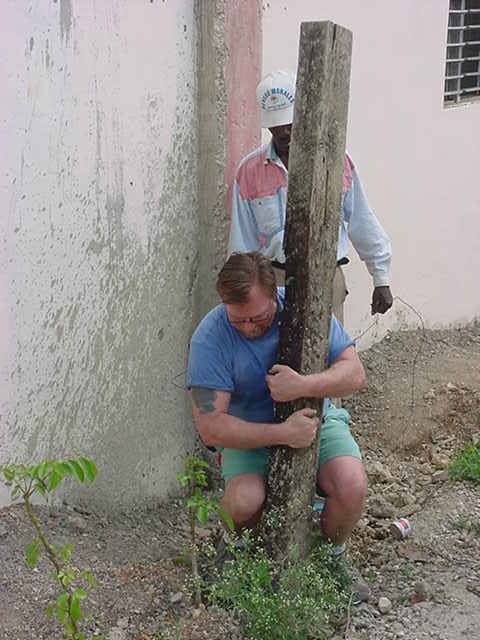 Removing Fence Posts 1